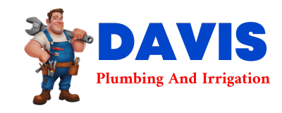 Trusted plumber in CELESTE